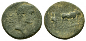 MACEDON.Uncertain. Augustus.(27 BC-14 AD). Ae.

Obv : AVG.
Bare head right.

Rev : Two founders driving yoke of oxen right, plowing pomerium.
RPC I on...