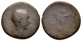 BITHYNIA. Nicaea. Julius Caesar (47/6 BC). Ae. C. Vibius Pansa, proconsul. Dated CY 236. 

Obv : NIKAIEΩN. 
Bare head right. 

Rev : EΠI ΓAIOY / OYIBI...