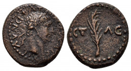 ASIA MINOR.Uncertain Armenian mint.Trajan.(98-117).Ae.

Obv : ΑΥ ΝƐΡΒΑ ΤΡΑΙΑΝⲰ ΚΑΙϹΑΡΙ.
Laureate head to right.

Rev : ƐΤ ΛƐ.
Palm branch.
RPC III onl...