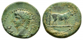 MACEDON.Philippi.Augustus.(27 BC -14).Ae.

Obv : AVG.
Bare head of Augustus to right.

Rev : Two priests ploughing, right.
 RPC I online 1656.

Condit...