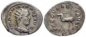 PHILIP I.(244-249).Rome. Antoninianus. 

Obv : IMP PHILIPPVS AVG.
Radiate, draped and cuirassed bust right.

Rev : SAECVLARES AVGG / III.
Gazelle walk...