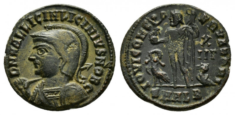 LICINIUS II.(317-324).Alexandria.Follis.

Obv : D N VAL LICIN LICINIVS NOB C.
Bu...