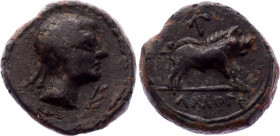 Ancient Greece Quadrans 200 BC, Spain, Castulo
Copper 3.3 g.; Obv: Diademed male head to right. Rev: Boar standing to right; star above.