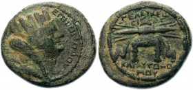 Roman Empire Syria L. Ceionius Commodus Æ 79 - 80 AD (CY188)
RPC II 2025A; SNG Copenhagen 401; Bronze 6.58 g.; Pseudo-autonomous issue; Time of Titus...