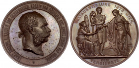 Austria Bronze Table Medal "World Exhibition in Vienna" 1873
Wurzbach 2494, Hauser 2911; Bronze 157 g., 70 mm.; By J.Tautenhayn and K.Schwenzer.; Obv...