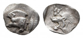 MYSIA. Kyzikos. Hemiobol (Circa 525-475 BC). 
Obv: Forepart of boar left; K retrograd on shoulder, tunny behind.
Rev: Head of roaring lion left; facin...