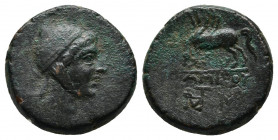 Pontos. Amisos. Time of Mithradates VI Eupator circa 120-63 BC. Bronze Æ
Obv: Head of Perseus right, wearing Phrygian cap.
Rev: AMIΣOY, Pegasos grazin...