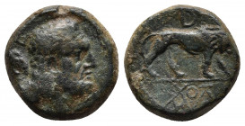 Kings of Galatia, Amyntas Æ. 39-25 BC. 
Obv: Head of Herakles to right, with club over left shoulder; [Є-ς behind]
Rev: Lion walking to right; B above...
