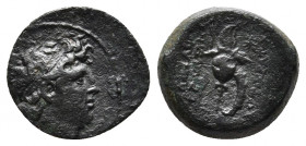 SELEUKID KINGDOM. Tryphon (Circa 142-138 BC). Ae. Antioch.
Obv: Diademed head right.
Rev: ΒΑΣΙΛΕΩΣ ΤΡVΦΩΝΟΣ / ΑVΤΟΚΡΑΤΟΡΟΣ. Spiked Macedonian helmet a...