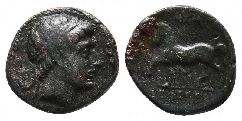 Seleukid Empire, Seleukos II Kallinikos Æ. ΔΕΛ mint, 246-226 BC. 
Obv: Diademed ...