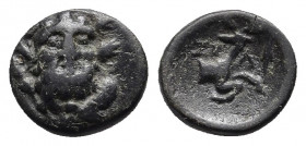 Pisidia, Selge Æ 13. 2nd-1st century BC. 
Obv: Bearded head of Herakles three-quarter facing, wreathed with styrax, [club to left].
Rev: Forepart of s...