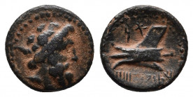 Phoenicia. Arados circa 206-52 BC. Dated CY 116 = 144/3 BC. Bronze Æ
Obv: Laureate head of Zeus to right .
Rev: Ram of prow to left. Phoenician legend...