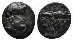 CARIA. Kidramos. Circa 2nd-1st centuries BC. AE Bronze.
Obv: Laureate head of Zeus to right.
Rev: KI-ΔPA/MH/NΩN Winged thunderbolt. 
BMC -. SNG Copenh...