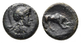 CARIA. Tabae? 1st C. BC. AE.
Obv: Helmeted and draped bust of Athena right
Rev: [ΤΑΒΗΝΩΝ] humped bull butting right.
British Museum Catalogue of Greek...