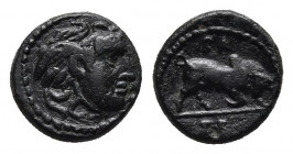 Seleukid Kingdom. Antioch mint. Seleukos I Nikator 300-286 BC. Bronze Æ.
Obv: Winged head of Medusa to right.
Rev: BA - ΣE (exergue), bull butting rig...