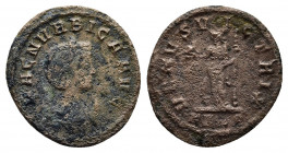 Magnia Urbica. Antoninianus; Magnia Urbica; Rome, 283-4 AD, Antoninianus.
Obv: MAGN VRBICA AVG Bust draped r. on crescent, wearing stephane. 
Rev: VEN...