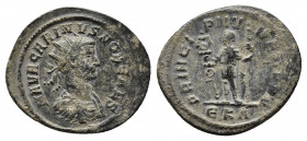 Carinus. As Caesar, 282-283. AE antoninianus. Rome mint, A.D. 282-283. 
Obv: M AVR CARINVS NOB CAES, radiate and draped bust right.
Rev: PRINCIPI IVVE...