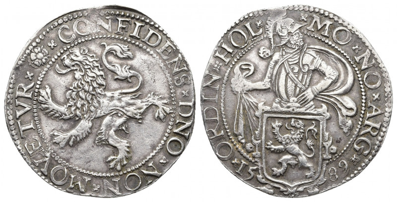 NETHERLANDS. Holland. Lion Daalder, 1589.
Delmonte 831; Dav 8838.

Weight: 27.40...