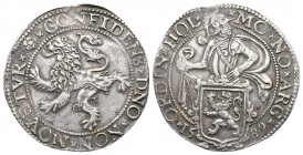 NETHERLANDS. Holland. Lion Daalder, 1589.
Delmonte 831; Dav 8838.

Weight: 27.40 g.
Diameter: 40 mm.