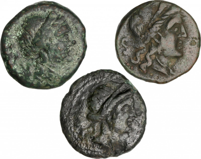 Lote 3 monedas Semis. (S. III a.C.). BRUTTIUM. Vibo Valentia (Hipponion). Anv.: ...