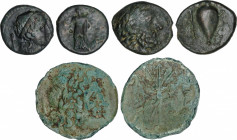 Lote 3 monedas AE14 a AE24. 330-275 a.C. BRUTTIUM. Vibo Valentia (Hipponium). MUY RARAS. AE. Una del tipo Zeus a derecha/ ánfora y tridente a izquierd...