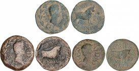 Lote 3 monedas As. 28 a.C.-14 d.C. ÉPOCA DE AUGUSTO. CELSE (VELILLA DE EBRO, Zaragoza). Anv.: AVGVST C. V. I. CELSA. Cabeza de Augusto a derecha, dent...