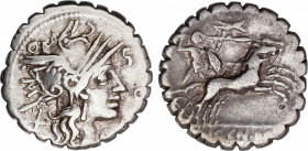 Denario. 118 a.C. COSCONIA. L. Cosconius M.f. NARBO. Anv.: Cabeza de Roma a derecha. L. COSCO. MF. Rev.: Guerrero Bituitus en biga a derecha. En exerg...