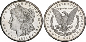 1 Dólar. 1885-CC. CARSON CITY. 26,68 grs. AR. Tipo Morgan. (Varias rayas y grafitis). Pleno brillo original, tipo espejo, parece PROOF. KM-110. (SC).