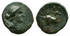 Greek Coins Ae, 2nd-1st century BC. AE.
Reference:
Condition: Very Fine



Weight: 1,3 gr
Diameter: 11,4 mm