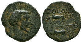 Augustus (27 BC-AD 14).
Reference:
Condition: Very Fine



Weight: 5,3 gr
Diameter: 19,7 mm
