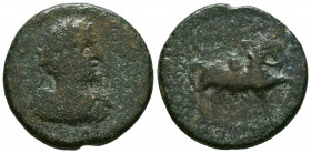 Roman Provincial Coins, AE.



Weight: 19,9 gr
Diameter: 31 mm