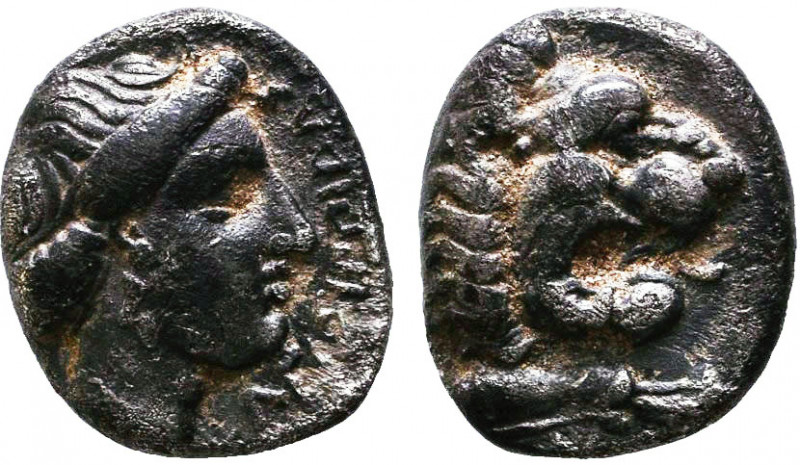 Greek Coins. 4-5th century BC.
Reference:
Condition: Very Fine



Weight: ...