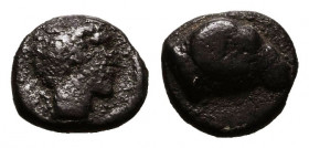 Greek AR Obol. 4-5th century BC.
Reference:
Condition: Very Fine



Weight: 0,5 gr
Diameter: 7,2 mm