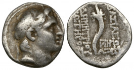 (Silver.4.0 g. 17 mm) Seleukid Kingdom. Antioch. Demetrios I Soter 162-150 BC.
Diademed head right
Rev: cornucopia, to inner right, monograms above ...