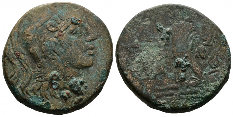 (Bronze. 19.32 g. 28 mm) PONTOS. Amisos. Time of Mithradates VI Eupator 120-63 B...