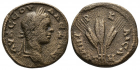 CAPPADOCIA (Bronze, 6.38g, 20mm) Caesaraea, Severus Alexander (222-235) Æ, Issue: ƐΤ Η = 8 (228/9)
Obverse: ΑΥ Κ ϹƐΟΥΗ ΑΛƐΞΑΝ[ΔΡΟ] - laureate head of...