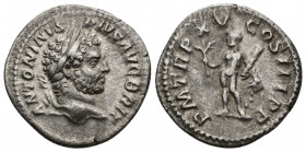 CARACALLA (198-217) AR Denarius (Silver, 2.80g, 20mm) Rome, 212. 
Obv: ANTONINVS PIVS AVG BRIT - Laureate head of Caracalla to right. 
Rev: P M TR P...