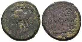 (Bronze. 9.66 g. 23 mm) CIVIC COPPER: falus Iravan, AH1133, A-3236, dromedary camel right,