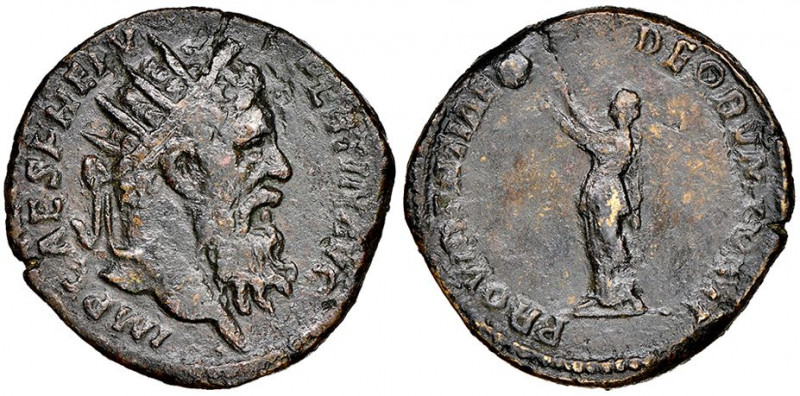 Pertinax 
Dupundius, Rome, AD 193, AE 13.05 g. 
Avers : IMP CAES P HELV PERTINAX...