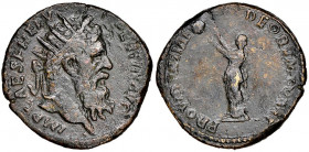 Pertinax 
Dupundius, Rome, AD 193, AE 13.05 g. 
Avers : IMP CAES P HELV PERTINAX AVG laureate head to right 
Revers : PROVIDENTIAE DEORVM COS II Provi...
