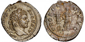 Caracalla 
Denarius, Rome, 213, AG 3.45 g.
Avers : ANTONINVS PIVS AVG BRIT 
Revers : PROFECTIO AVG
Ref : RIC 225
NGC Choice AU 4/5, 5/5
