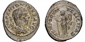 Elagabalus 218-222
Denarius, Rome, AG 3.36 g. 
Ref : RIC 150
NGC Choice XF 5/5, 4/5