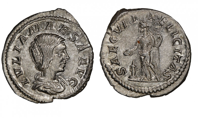 Julia Maesa
Denarius, 218-224/5, Rome, AG 2.78 g.
Ref : RIC 271 (Elagabalus)
NGC...