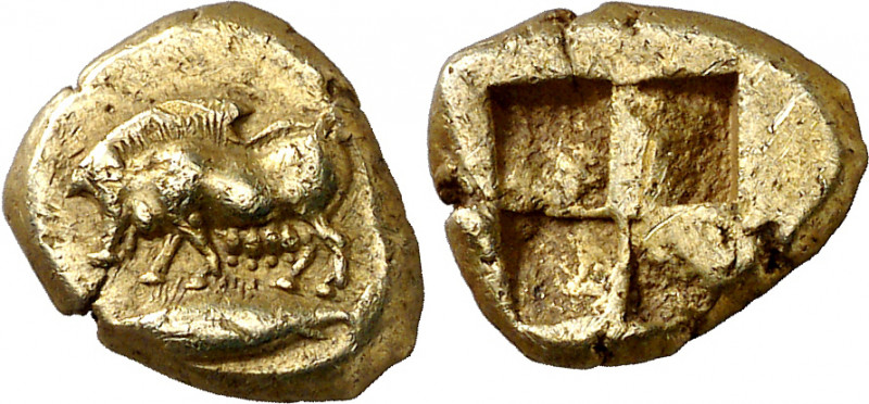 (450-400 a.C.). Misia. Kyzikos. Hekté. (S. 3834). 2,69 g. EBC-.