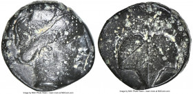 ACHAEMENID PERSIA. Ca. 4th Century BC. AE (10mm, 1.35 gm, 11h). NGC VF 5/5 - 3/5. Uncertain Asia Minor mint. Laureate head of Apollo right / Maple lea...