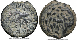 JUDAEA. Roman Procurators. Antonius Felix (AD 52-59/60). AE prutah (17mm, 11h). NGC Choice Fine. Jerusalem, dated Regnal Year 14 of Claudius I (AD 54)...