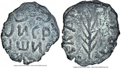 JUDAEA. Roman Procurators. Porcius Festus (AD 59-62). AE prutah (16mm, 1.56 gm, 11h). NGC Choice XF 4/5 - 3/5. Jerusalem, dated Regnal Year 5 of Nero ...