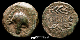 Acinipo (Málaga) bronze As 6.58 g, 23 mm. Cerit 150-50 B.C. Good very fine (MBC+)