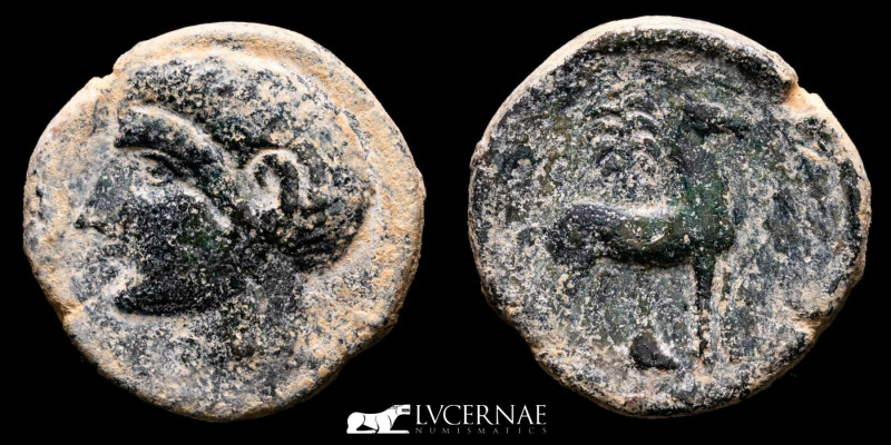 Ancient Hispain - Carthaginians in Spain. Bronze calco (10.80 g., 24 mm.) minted...