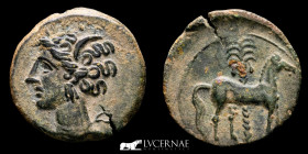 Carthaginians  Bronze 1/2 Calco 1,83 g. 17 mm.  Cartago Nova 220-205 B.C EF